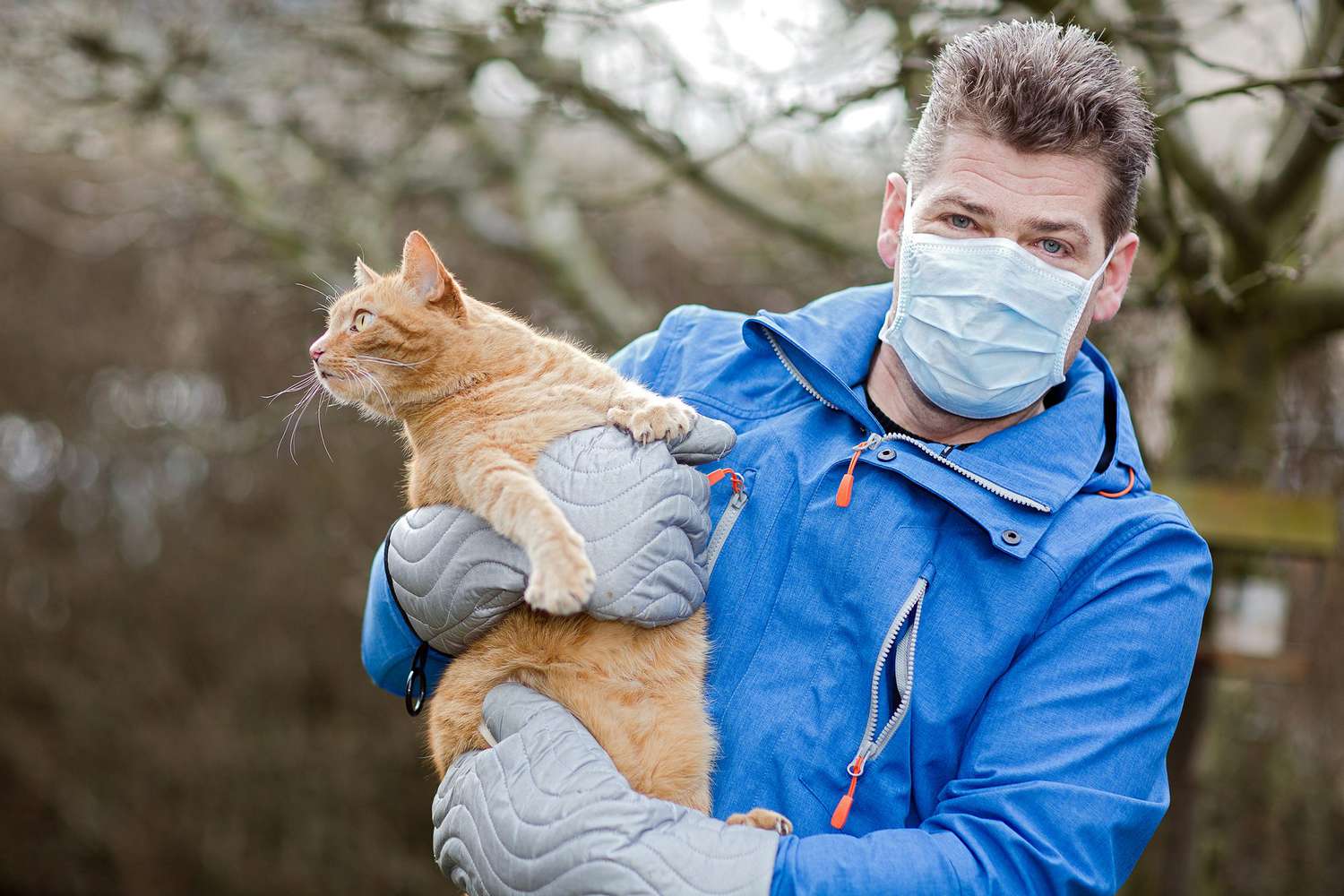 Conviver com Gatos e Alergias: 10 Dicas Aprovadas por Veterinários 🐱