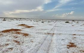 Neve no Deserto? O Fenômeno Raro na Arábia Saudita e a Importância de Estar Preparado